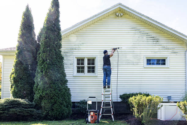 Best Building Exterior Washing  in Fox River Grove, IL